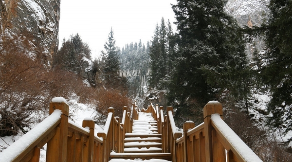 甘肃碌曲春寒抱雪 则岔石林宛若仙境-图6
