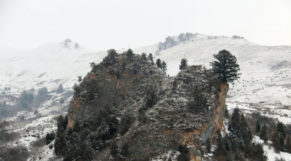甘肃碌曲春寒抱雪 则岔石林宛若仙境-图8