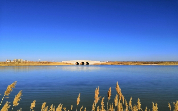 蓝天碧水 鄂尔多斯东红海子湿地景色迷人-图2