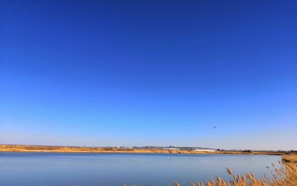 蓝天碧水 鄂尔多斯东红海子湿地景色迷人-图4