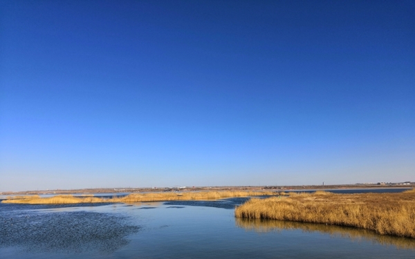 蓝天碧水 鄂尔多斯东红海子湿地景色迷人-图12