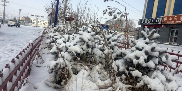 青海降雪又至  交通畜牧受影响-图2