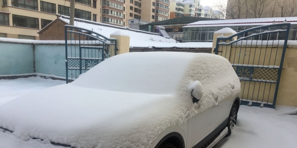青海降雪又至  交通畜牧受影响-图1