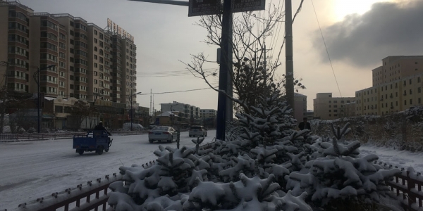 青海降雪又至  交通畜牧受影响-图4