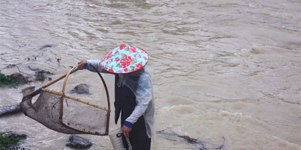 湖北恩施：强降雨致中小河流水位暴涨-图3