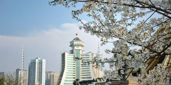 百花争艳筑城秀 万紫千红总是春-图2