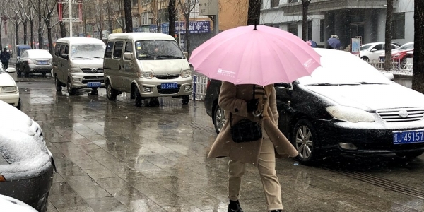 辽宁多地迎降雪-图6