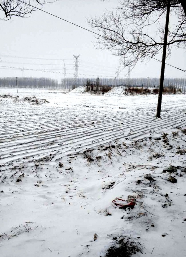 辽宁多地迎降雪-图9