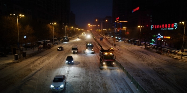 哈尔滨昨夜大雪袭城-图2