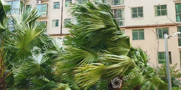 中东部大降温全面开启 江南气温打对折
