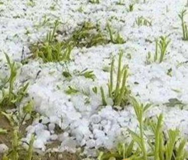 全国自然灾情最新消息汇总（2019年3月26日发布）