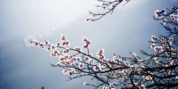 “杏”好遇见你  2019新疆·伊犁杏花文化旅游节盛大举行