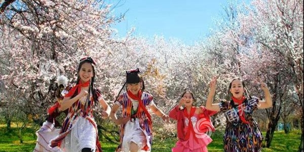 “杏”好遇见你  2019新疆·伊犁杏花文化旅游节盛大举行
