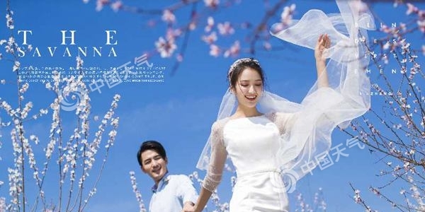 “杏”好遇见你  2019新疆·伊犁杏花文化旅游节盛大举行