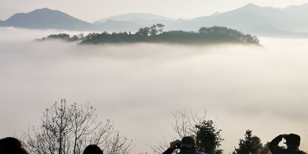 安徽歙县坡山村云海美景宛如仙境-图3