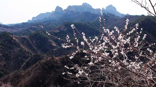 河北武安山桃花盛开 太行山脉春色浓-图7