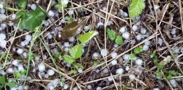 浙江雨势加强气温骤降 绍兴宁波等有大到暴雨