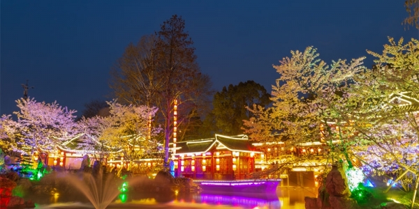 绚烂灯光下 湖北武汉东湖夜樱展现别样美丽-图11