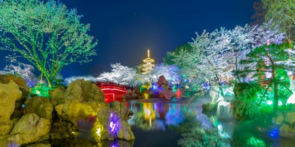 绚烂灯光下 湖北武汉东湖夜樱展现别样美丽-图13