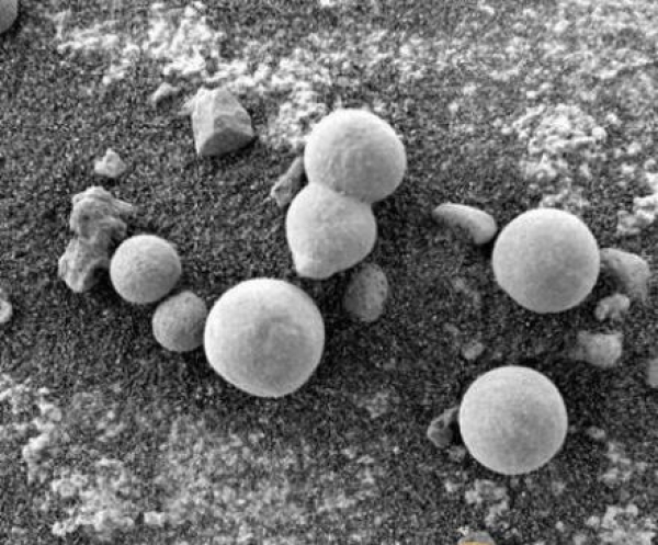 NASA在火星拍到貌似蘑菇照片 3天累计15张或证实生命存在