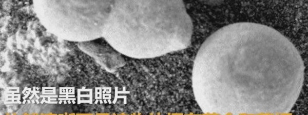 NASA在火星拍到貌似蘑菇照片 3天累计15张或证实生命存在
