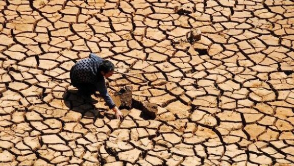 德国刷新数月干旱纪录 气温30℃天数多达20天