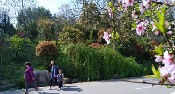 湖南衡阳：风和日丽 游玩赏花春光美-图9