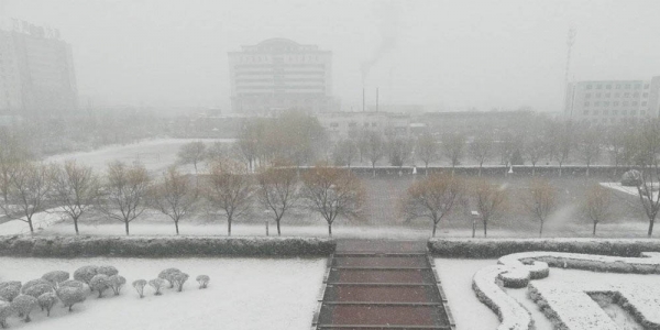 河北张家口：塞外山城迎春雪 分外妖娆别样春-图1