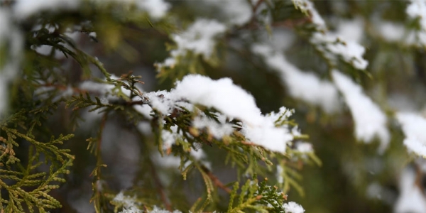河北张家口：塞外山城迎春雪 分外妖娆别样春-图2