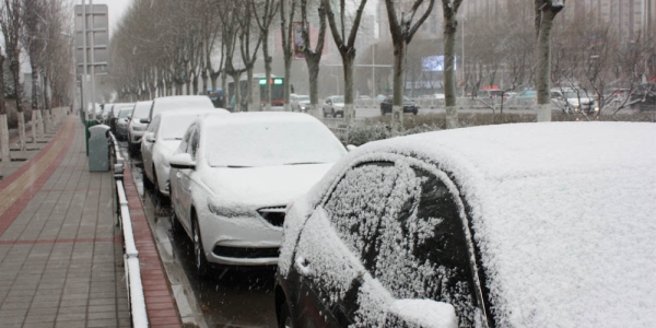 河北张家口：塞外山城迎春雪 分外妖娆别样春-图10