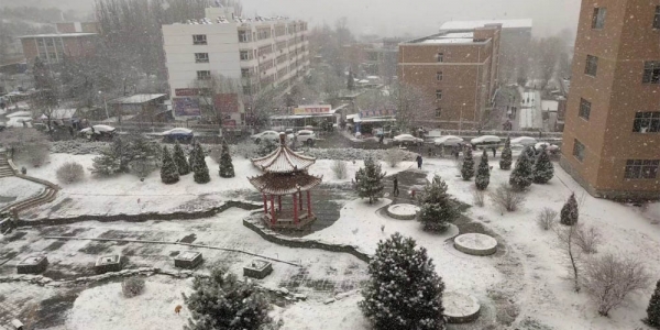 河北张家口：塞外山城迎春雪 分外妖娆别样春-图12