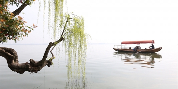 武汉垂柳抽新枝 满湖流动起绿的光彩-图5