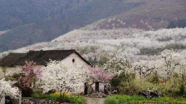 2019年桂林清明节天气预报 桂林旅游要注意什么