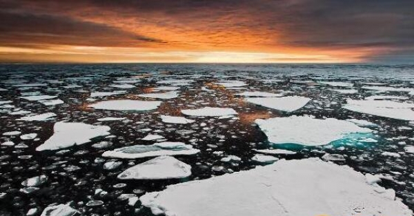 最新监测：气候变暖致二氧化碳平均浓度达历史最高