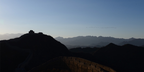 ​迁徙候鸟飞掠金山岭长城 场景如画-图6