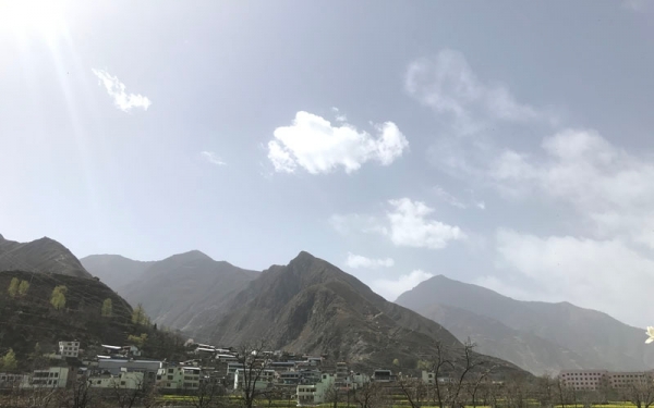 甘肃舟曲油菜花初放 四月初将迎盛花期-图2