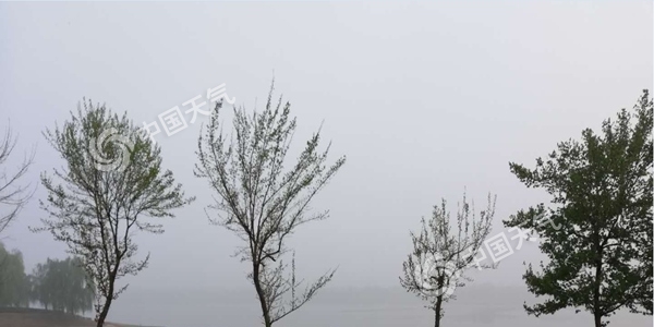 今晨安徽遭大雾袭击 周末迎大风降温