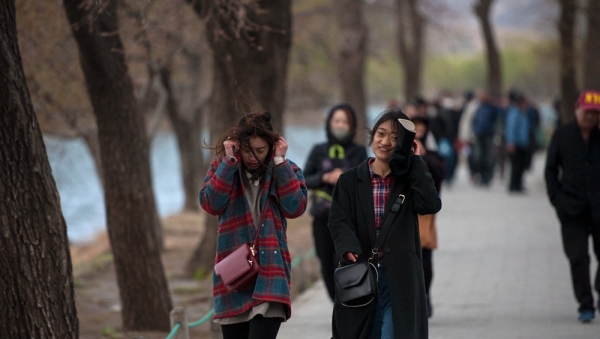 刮大风啦！北京今日下午风寒效应明显-图6
