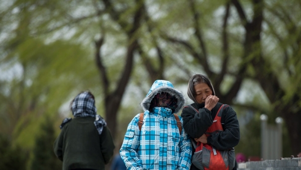 刮大风啦！北京今日下午风寒效应明显-图7