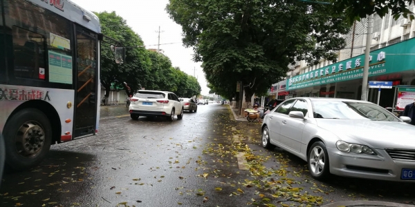 广东廉江遭强降水侵袭 城乡积水严重-新闻频道-周六天气软件-图3