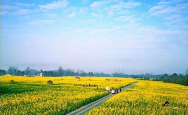 2019四川都江堰清明节天气 清明都江堰哪里最好玩