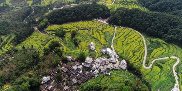 航拍江西婺源油菜花梯田  醉美花海层层叠叠-图9
