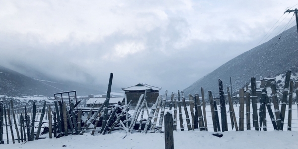 四川康定飘雪 玉龙西村天地皆静-图7