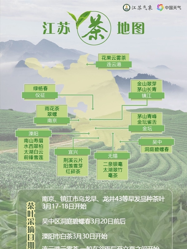 今年气候条件利于茶树出芽生长和茶叶品质提高入冬以来,茶叶主产区