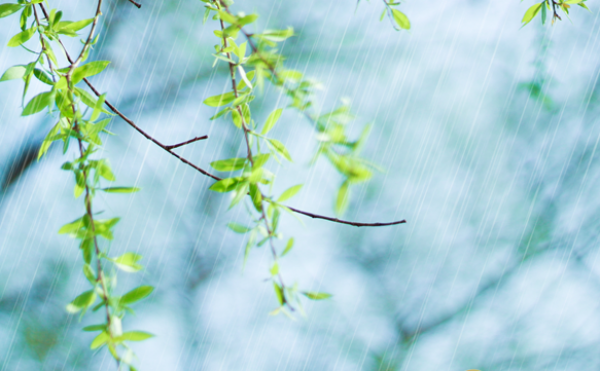 谷雨是什么季节 谷雨是春天还是夏天