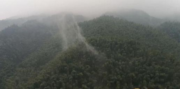 大数据揭秘清明节南北不同：南方多雨北方要补水