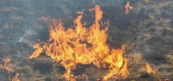山西沁源森林大火最新消息 转移上千人最大风力8级