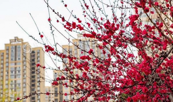 【头条练习】北方气温节节高升 今日贵州广西强对流概率最高