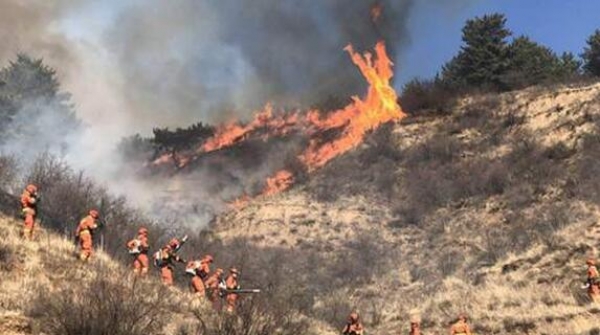 今年首个森林火险红色预警 北京天津等地火险等级较高