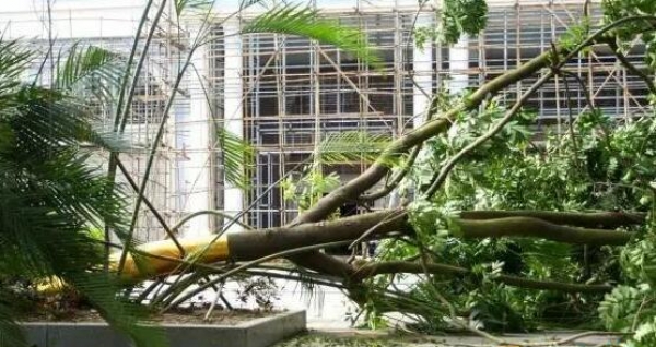今年汛期广西状况总体偏差 预计有4-6个台风造访